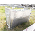 Mouton Goat Yard Equipment Catcher